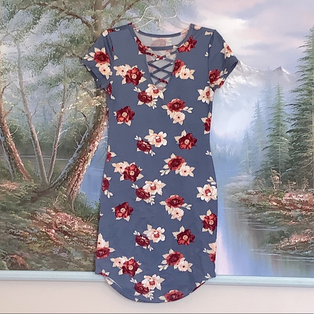 Women’s Blue and Red Floral Mini Dress